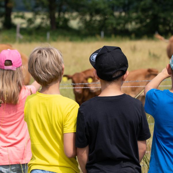 Image - Hoffhrung 30