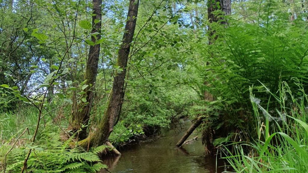 Lebensräume Vielfalt in Geest und Moor Lebensräume Vielfalt in Geest und Moor